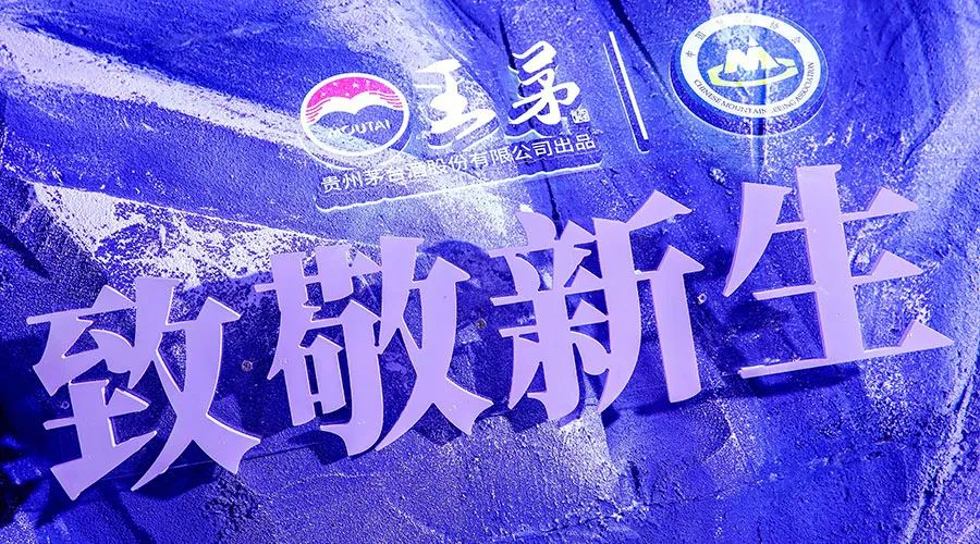 荣获青云奖、致敬“新高度”：王茅如何半年跑赢2019，秋糖揭秘