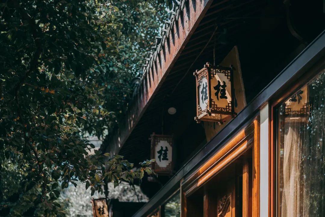 秋分｜桂雨飘香，酒意浓