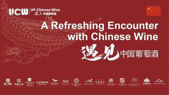 “2023德國ProWein”UCW中國葡萄酒聯合展位開館儀式順利舉行,，中德各界人士共襄盛舉