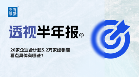 20家企业合计超5.2万家经销商，看点具体有哪些？｜透视半年报⑥