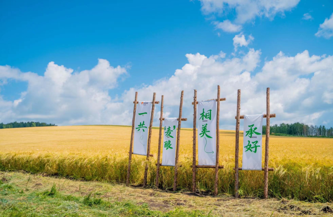 朝日啤酒透露中国市场扩张计划；华润啤酒开建首个国麦种植基地